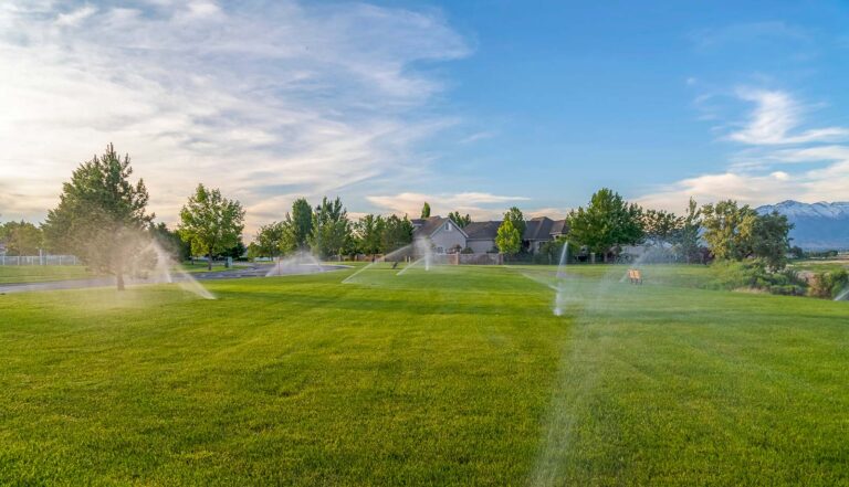 Rotary vs. Spray Sprinklers: Things Get Weird When You Dig Deeper