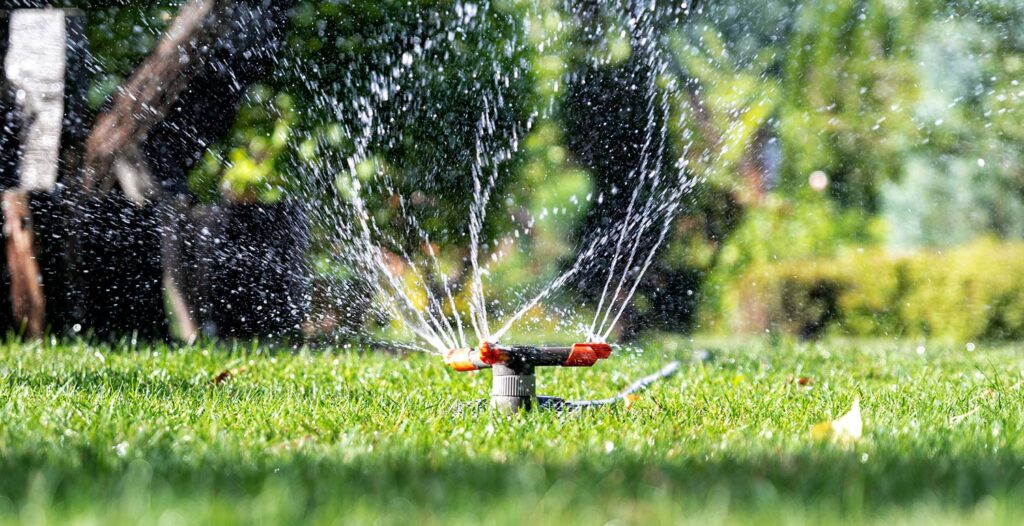 Adjusting Rainbird Pop-Up Sprinkler Heads