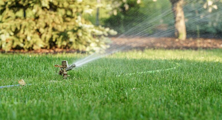 How to Protect Your Backflow During a Freeze