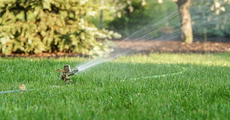 High Costs of Skipping De-Winterization of Your Lawn Sprinkler