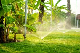 Difference between a Spray Head Sprinkler and a Rotar