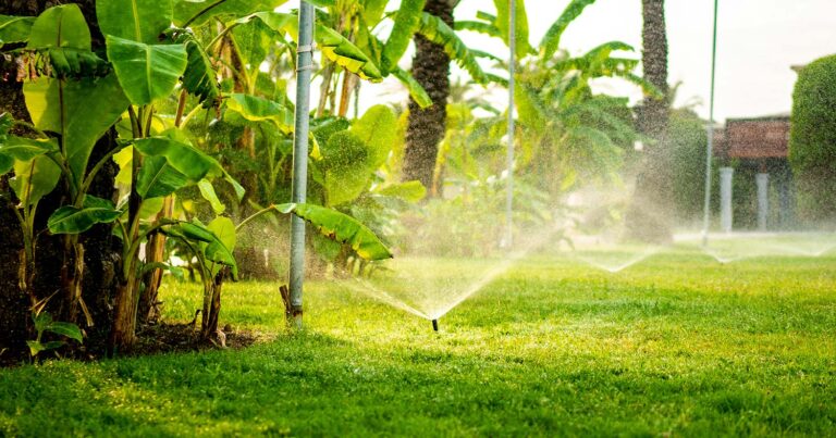 Difference between a Spray Head Sprinkler and a Rotar