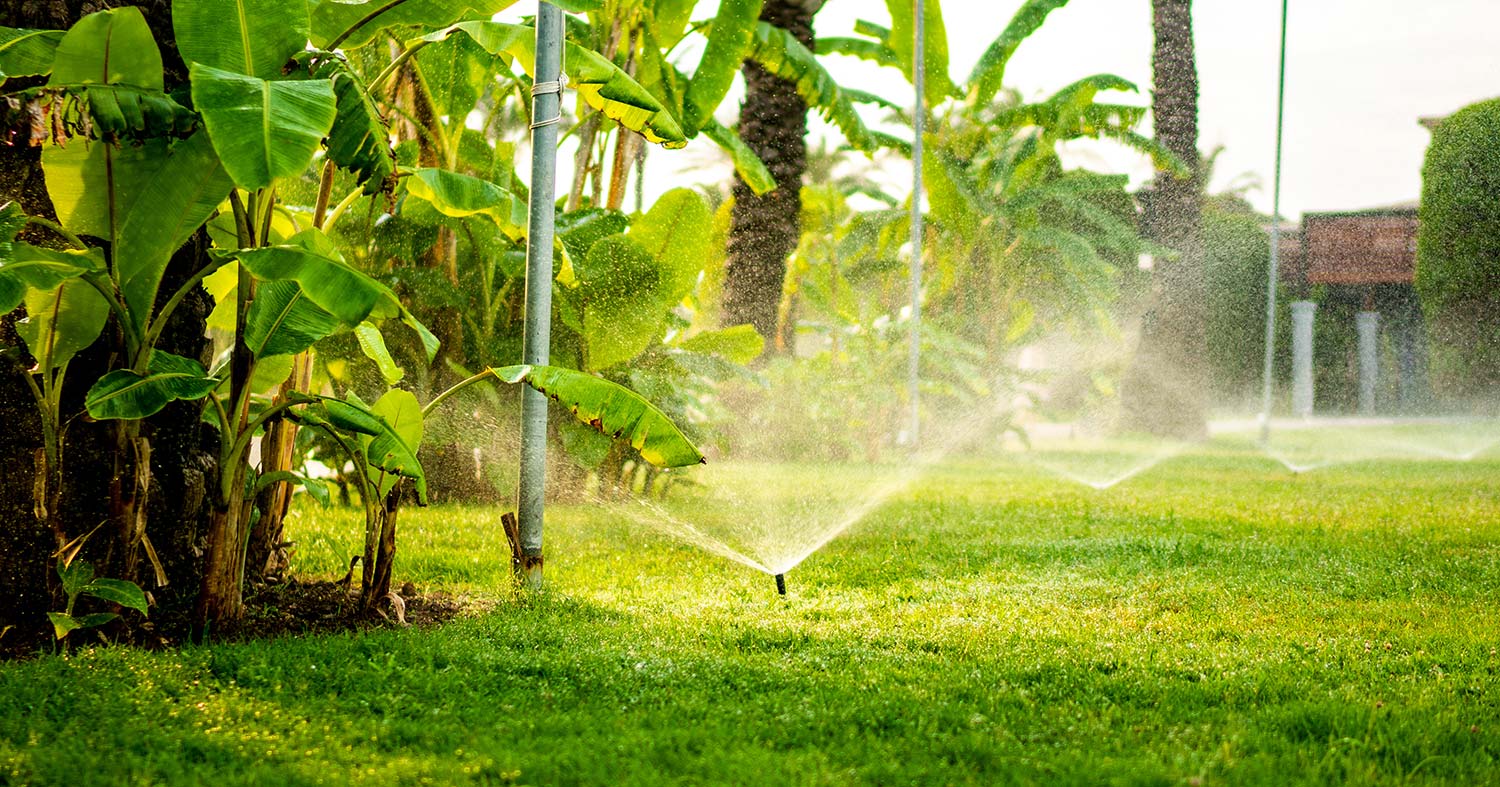 Difference between a Spray Head Sprinkler and a Rotar Difference between a Spray Head Sprinkler and a Rotar