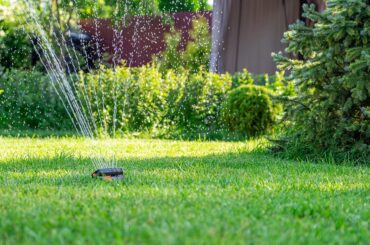 Hand Watering a Lawn better than using Sprinklers
