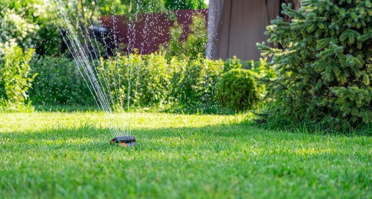 Is Hand Watering a Lawn better than using Sprinklers?