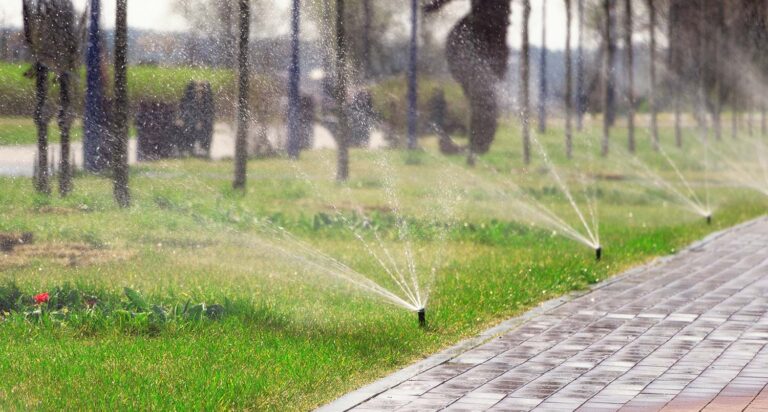 Lawn Sprinkler and The Mystery of Dry Spots
