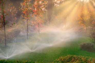 Is it better to run Lawn sprinklers at night or morning