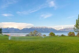 5 Most Popular Types of Pop-Up Sprinkler Heads