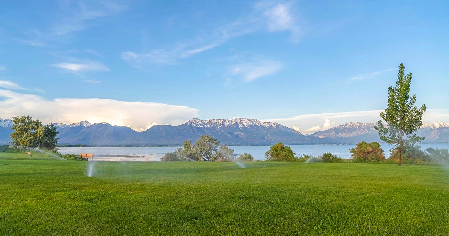 5 Most Popular Types of Pop-Up Sprinkler Heads 5 Most Popular Types of Pop-Up Sprinkler Heads