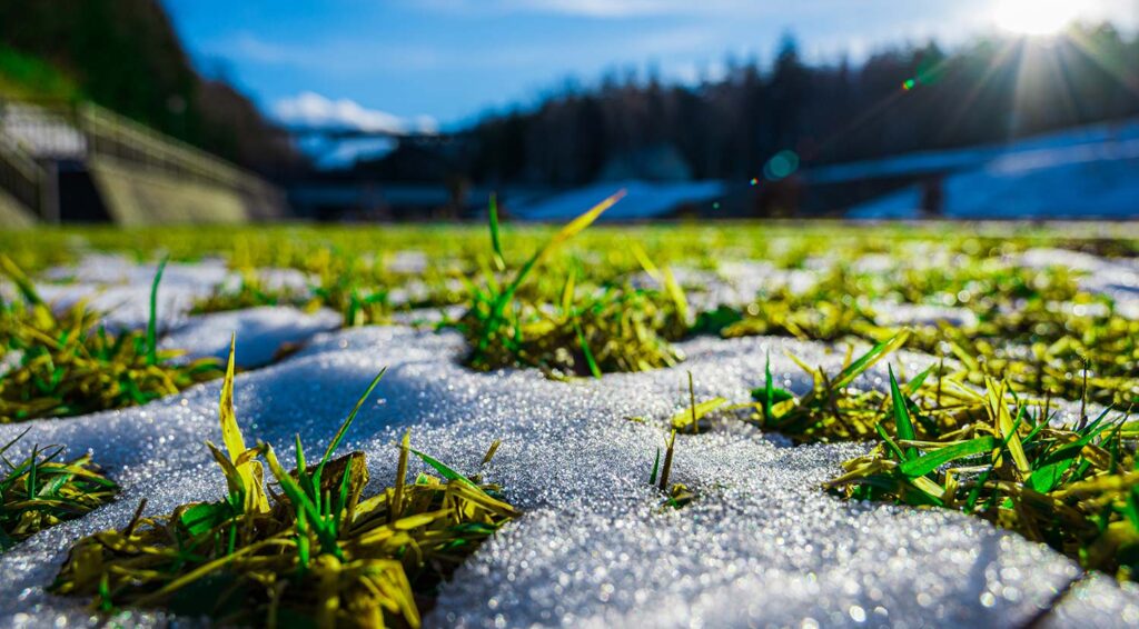 How to Use Lawn Sprinklers to Protect Plants from Frost
