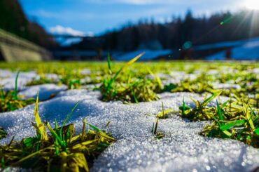 How to Use Lawn Sprinklers to Protect Plants from Frost