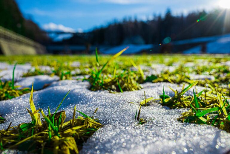 How to Use Lawn Sprinklers to Protect Plants from Frost
