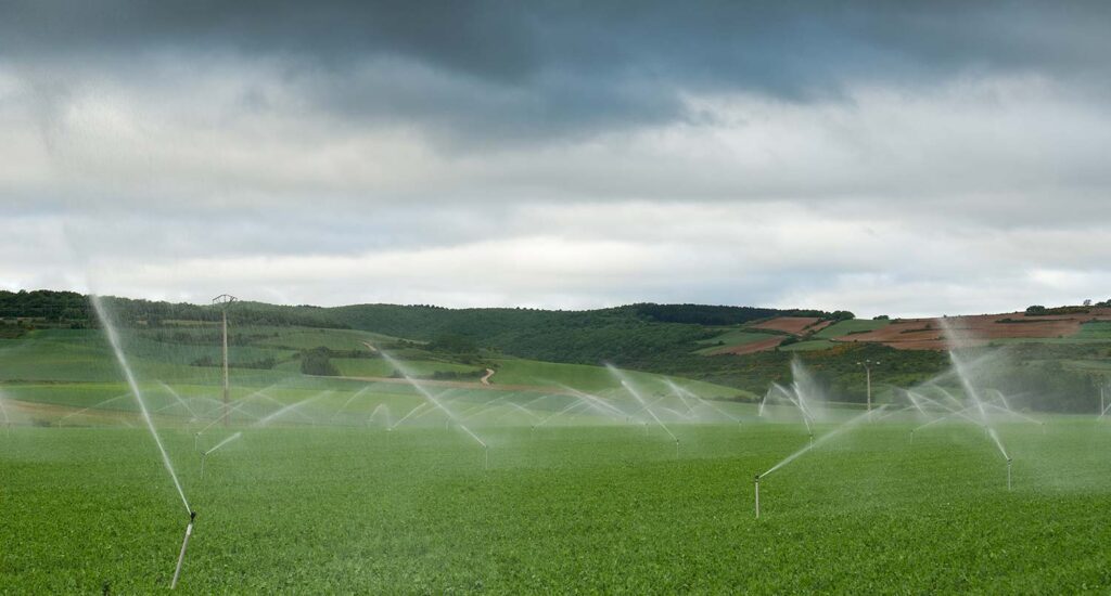 Why My Sprinkler System Won't Turn On? - Elite Sprinkler Repair