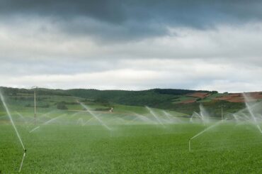 Why My Sprinkler System Won't Turn On?