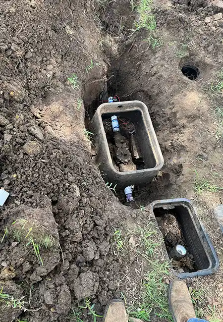 Professional Sprinkler Activation Services in Desoto